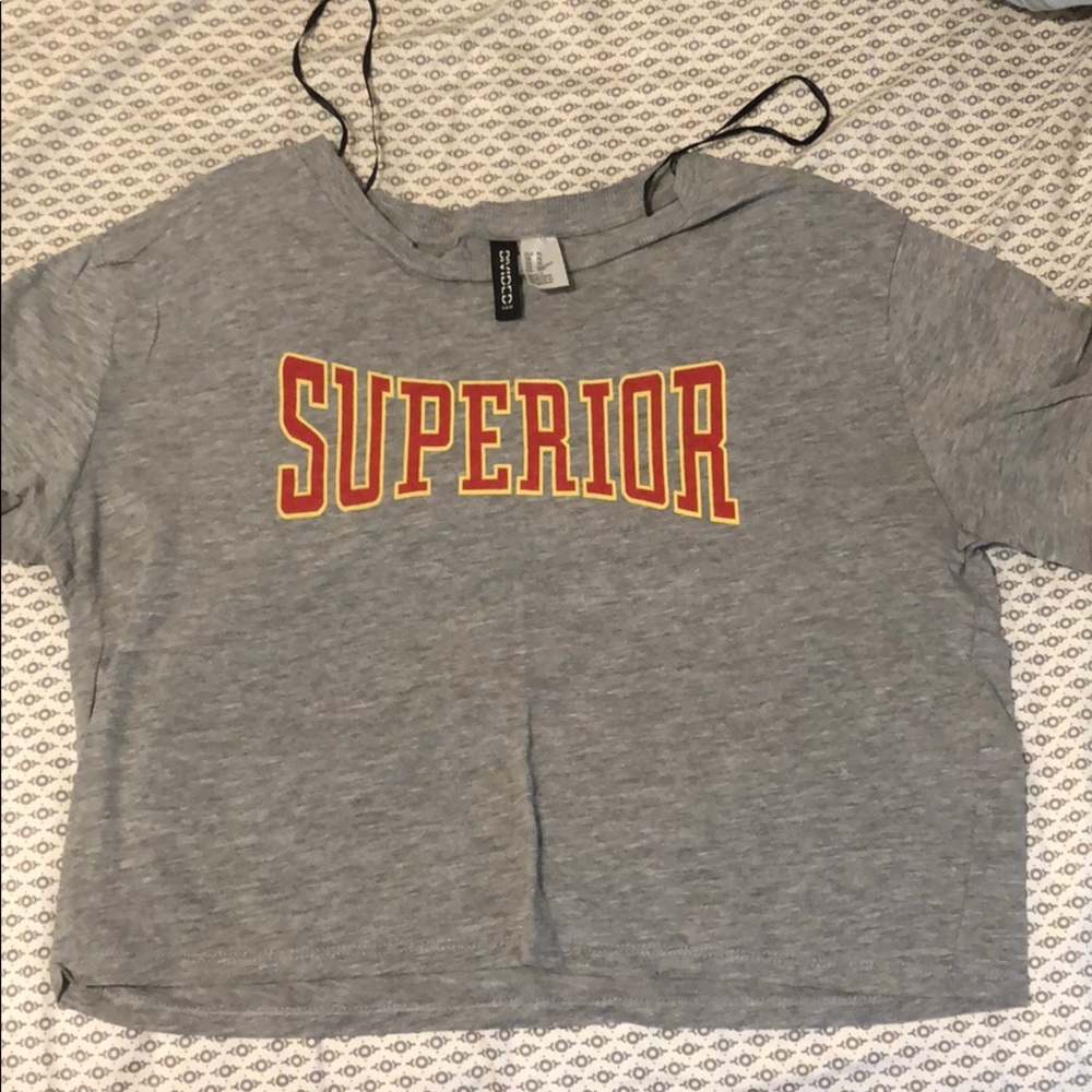 Gray crop top